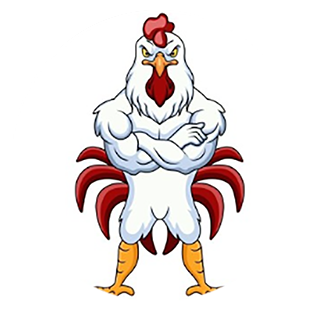 djrooster